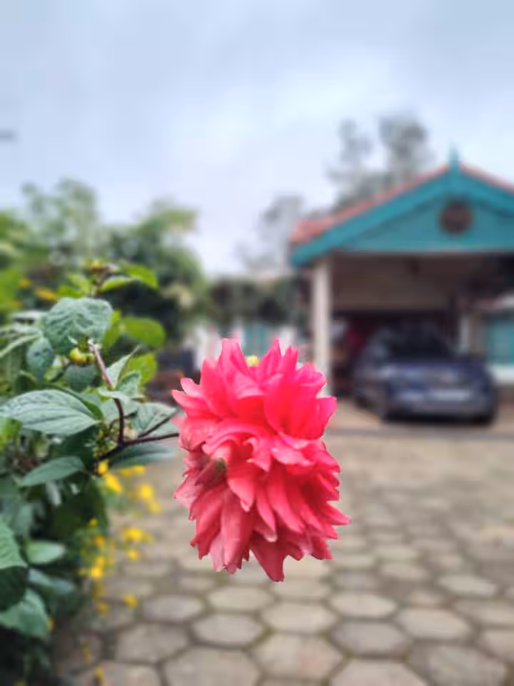 Reuben’s Colonial Home Stay — photo 2