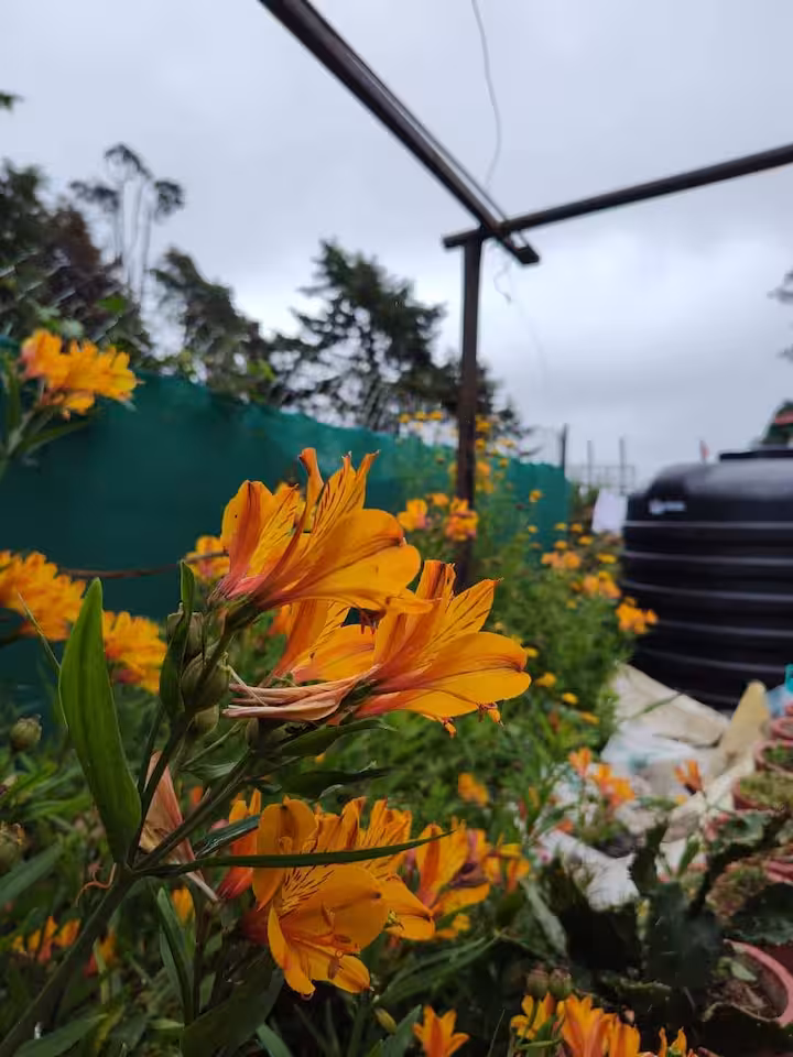 Reuben’s Colonial Home Stay — photo 3